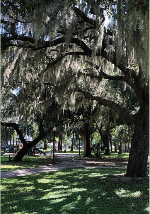 speer park trees, walking path, and playground