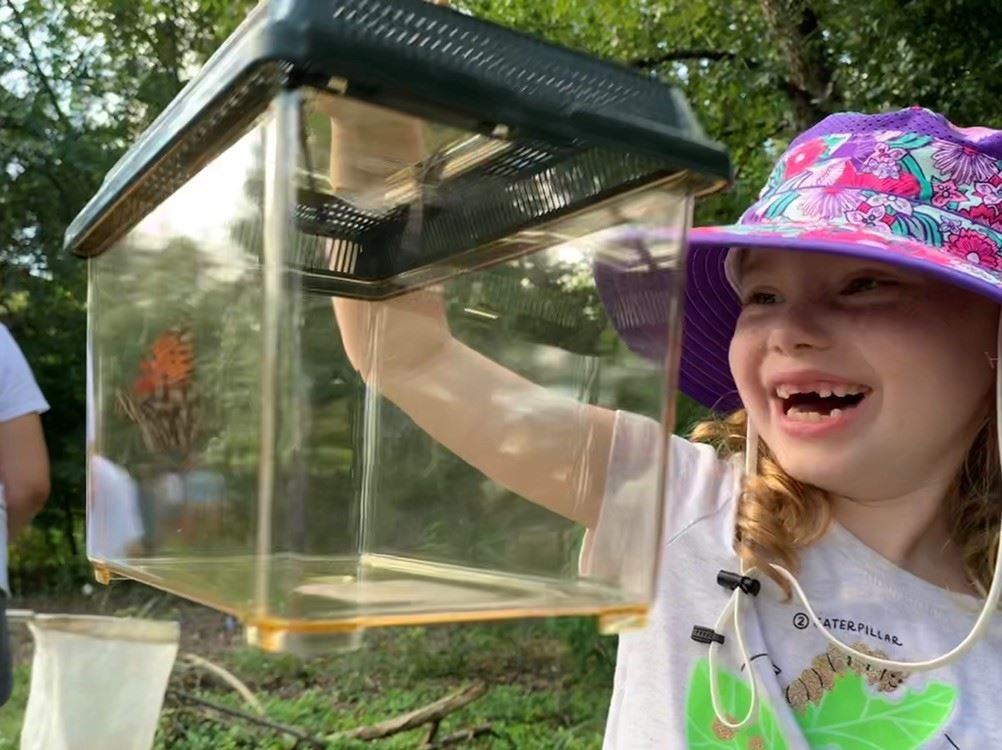 child looking at butterfly