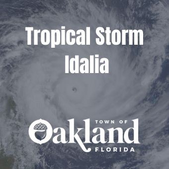 Tropical Storm Idalia Image
