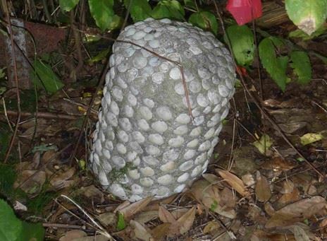 Historic African American Cemetery Marker 